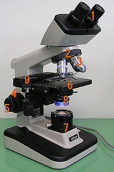 300px-Optical microscope nikon alphaphot.jpg