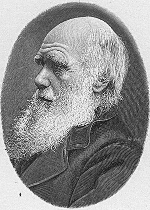 Darwin1.jpg